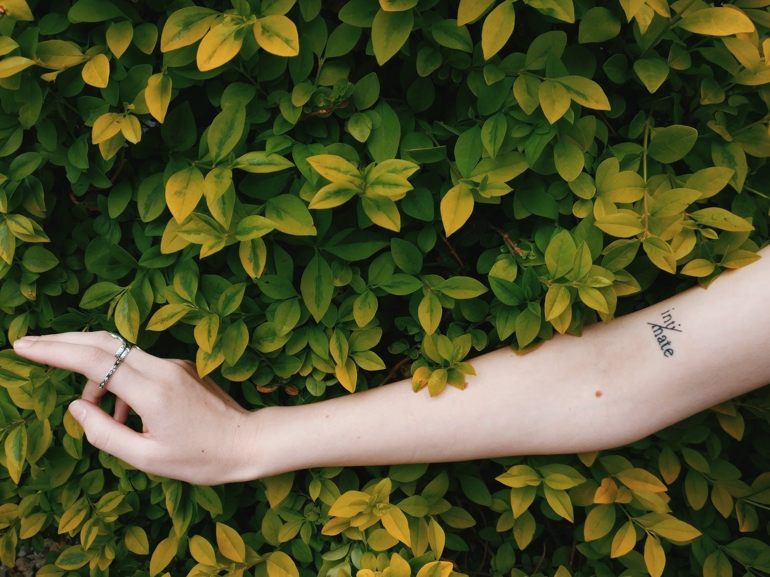 Caring For Your Skin Post Laser Hair Removal To Reduce Reaction - Kenzzi